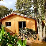 Lejlighed La Cabane 56 - Calme - Agreable - Reposant - Sans Vis-A-Vis Lège-Cap-Ferret