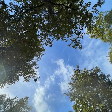 Appartamento La 56 - Calme - Cosy - Nature - Sans Vis-à-vis *