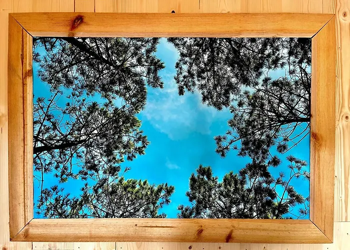 La 56 - Calme - Cosy - Chaleureuse - Sans Vis-a-vis *