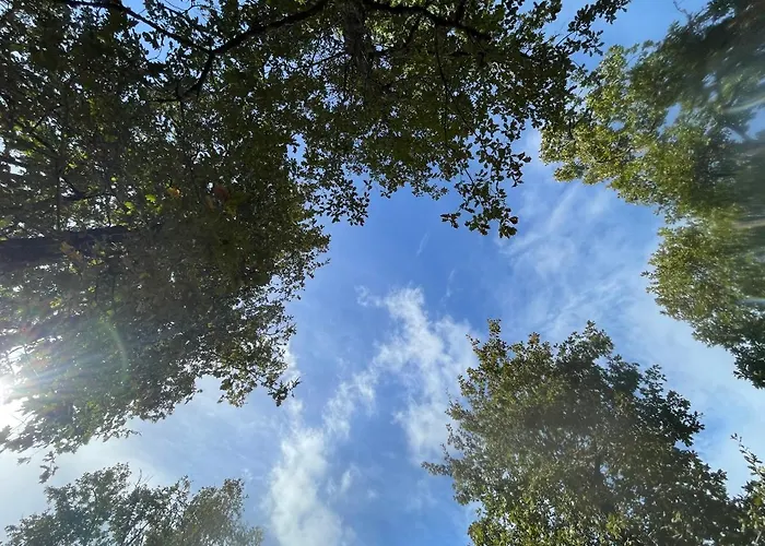 Lejlighed La 56 - Calme - Cosy - Chaleureuse - Sans Vis-a-vis *